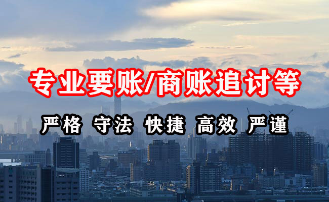 普定追账公司